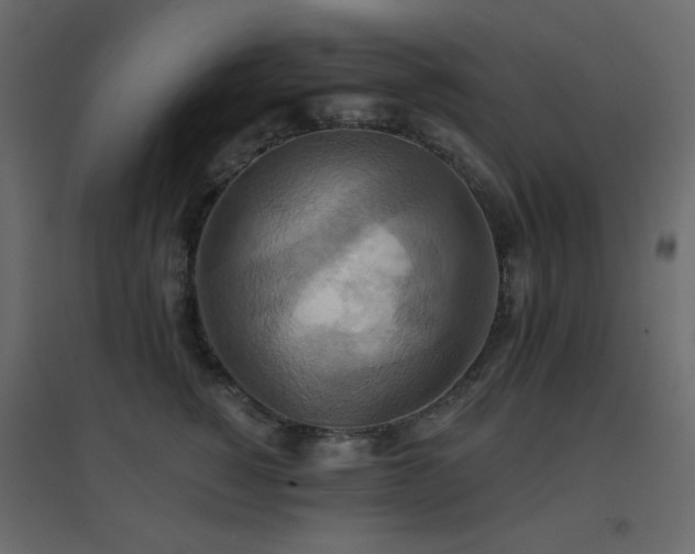 X0000096660760200802051219