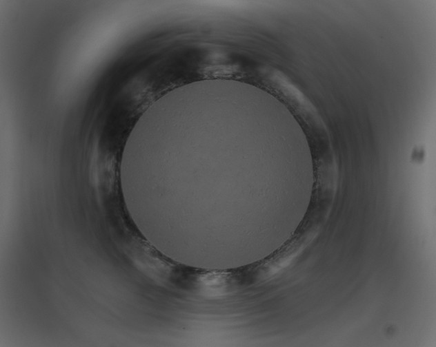 X0000096660761200802051219