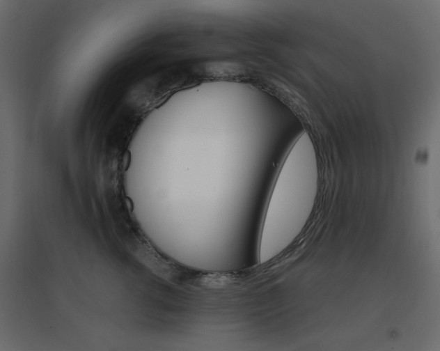 X0000096660762200802051219