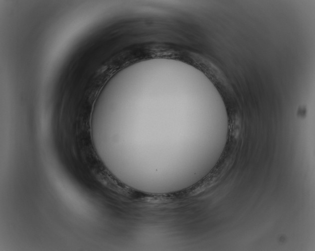 X0000096660763200802051219