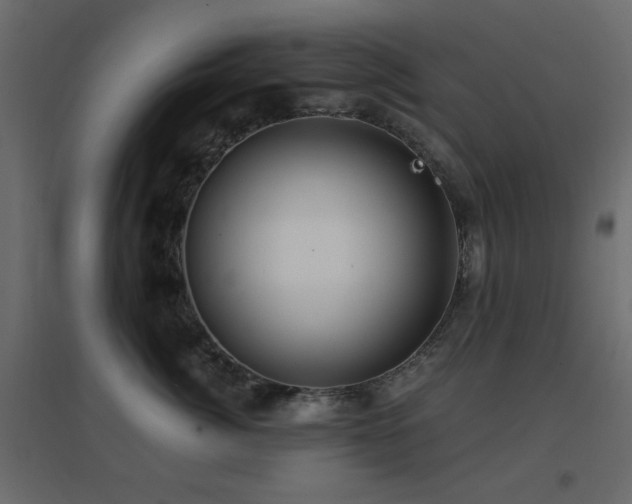 X0000096660764200802051219