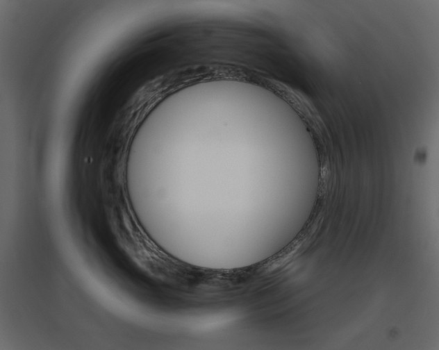 X0000096660765200802051219
