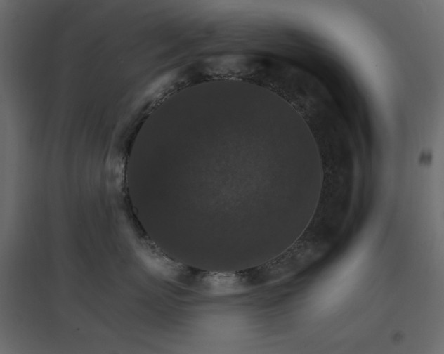 X0000096660767200802051219