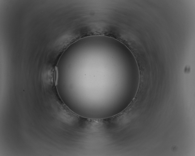 X0000096660768200802051219