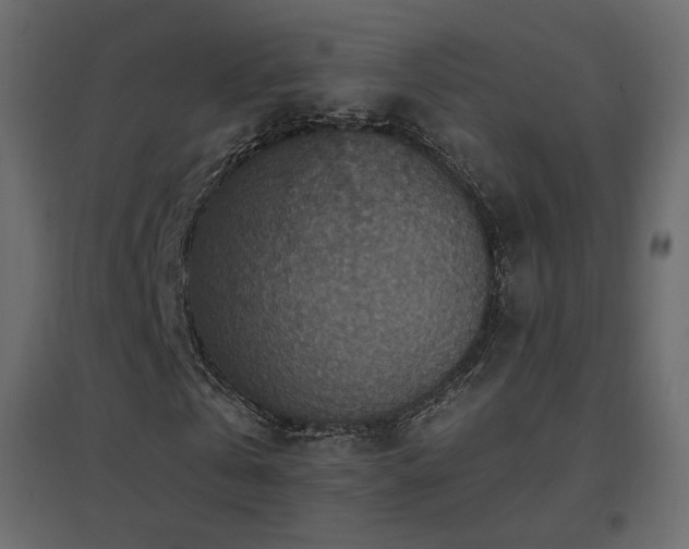 X0000096660769200802051218