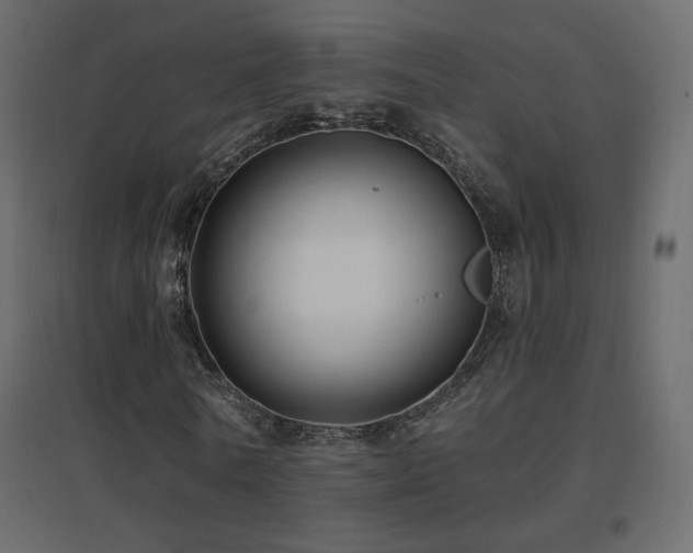 X0000096660770200802051218