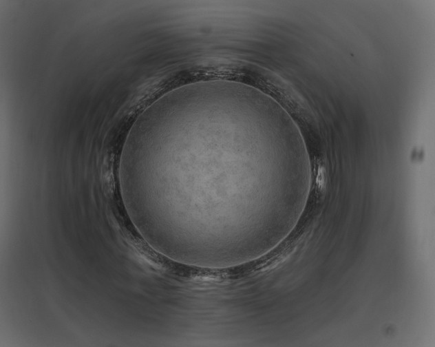 X0000096660771200802051218