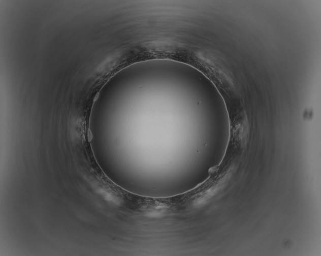 X0000096660772200802051218