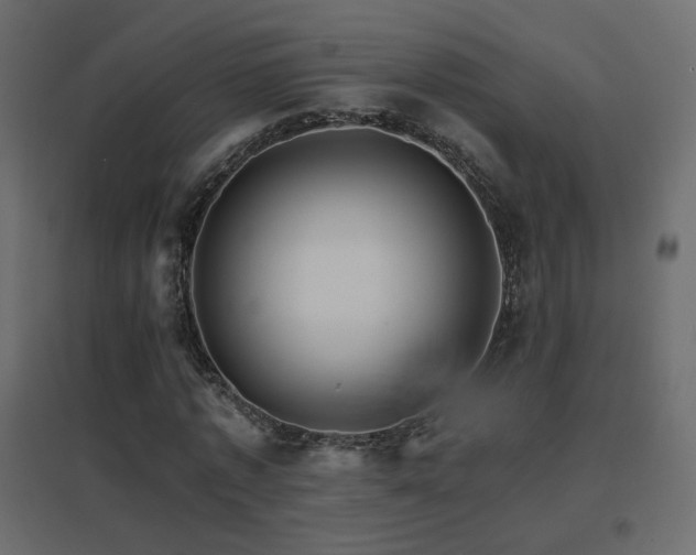 X0000096660773200802051218