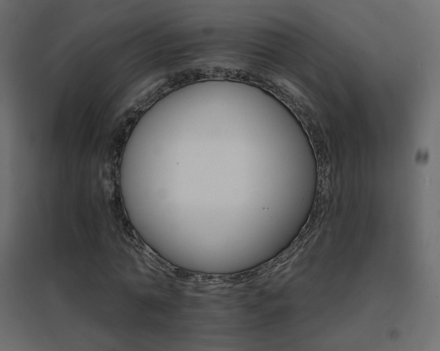 X0000096660774200802051218