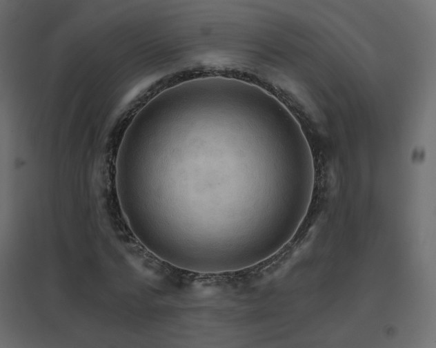 X0000096660776200802051218