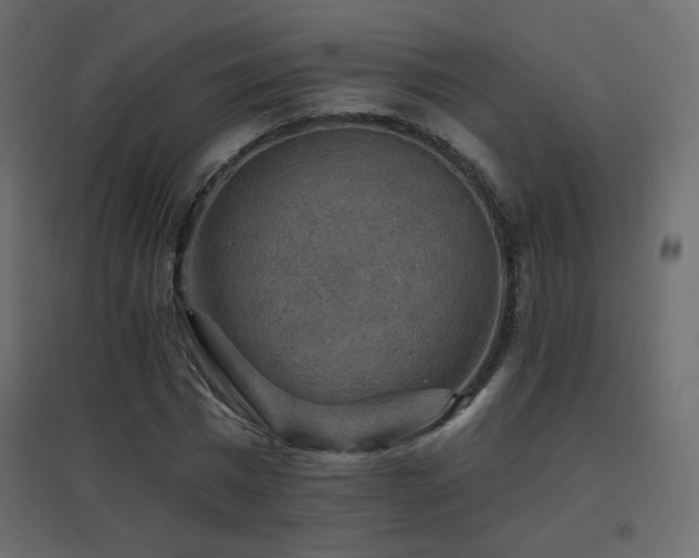 X0000096660777200802051218