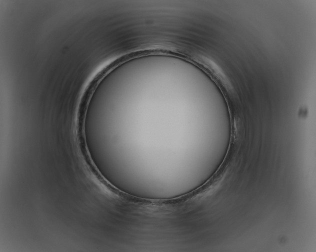 X0000096660780200802051218