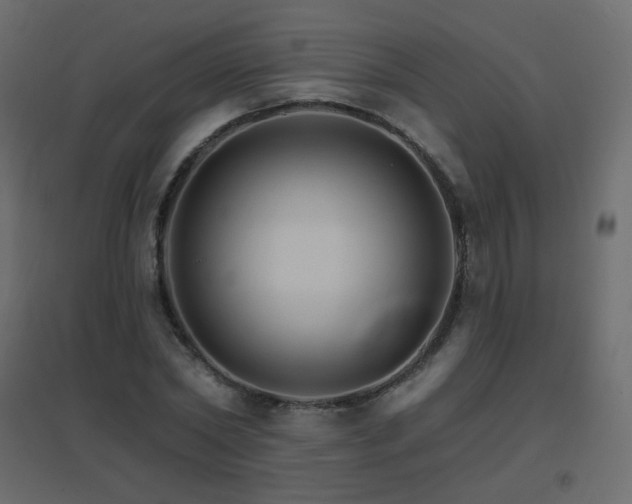 X0000096660782200802051218