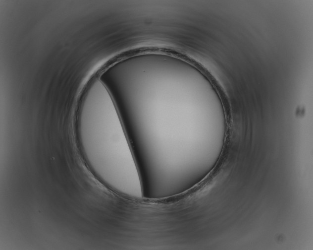 X0000096660783200802051218