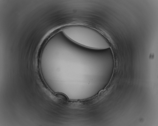 X0000096660784200802051218