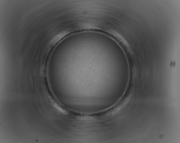X0000096660785200802051218