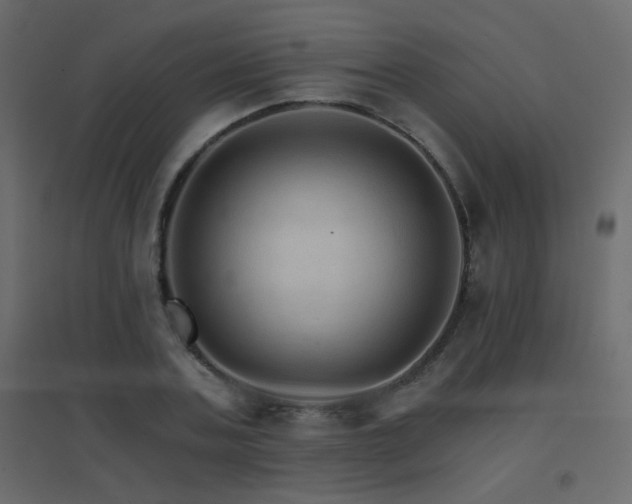 X0000096660787200802051218