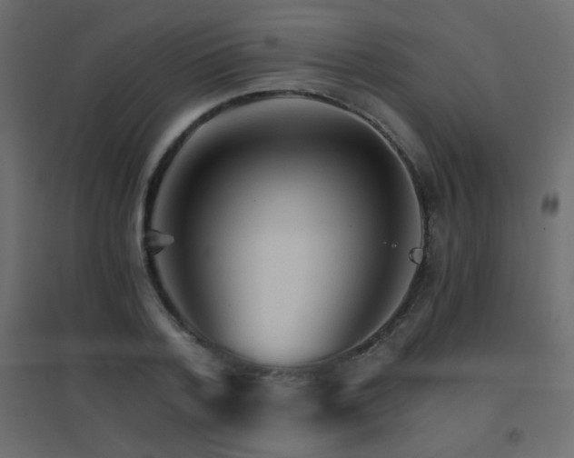 X0000096660788200802051217