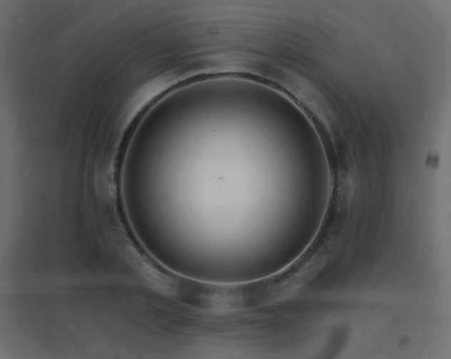 X0000096660789200802051217