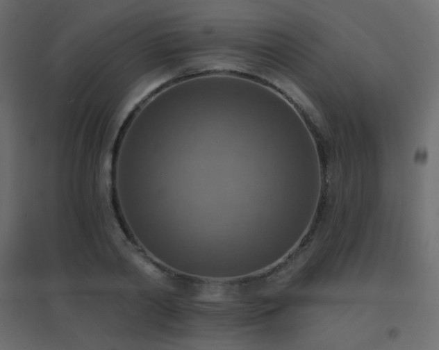 X0000096660790200802051217