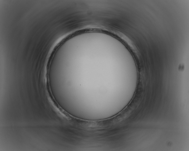X0000096660791200802051217