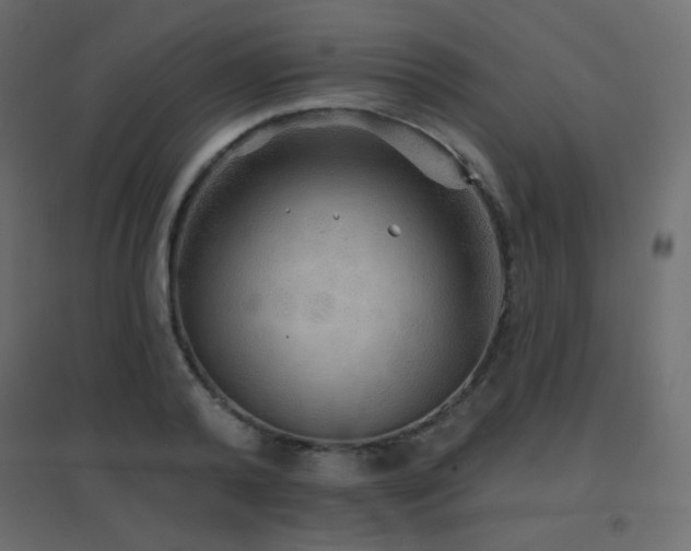 X0000096660792200802051217