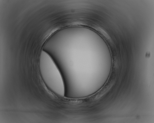 X0000096660793200802051217