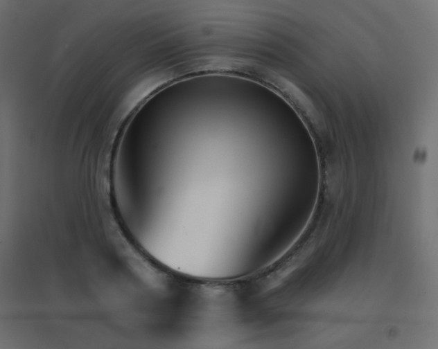 X0000096660794200802051217