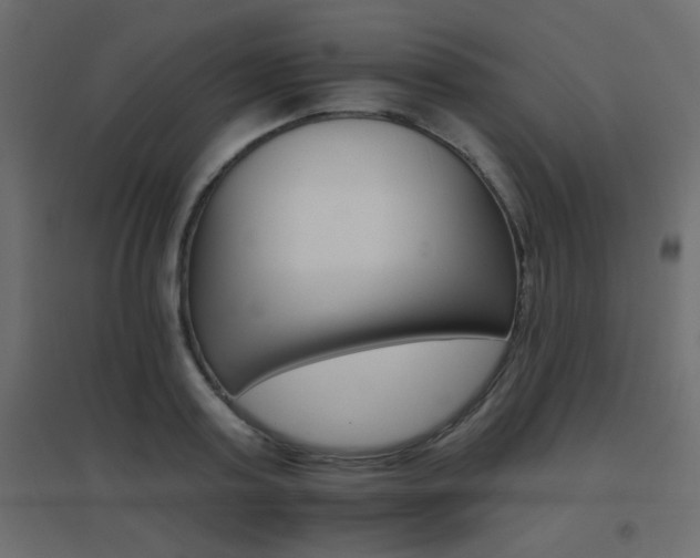 X0000096660795200802051217