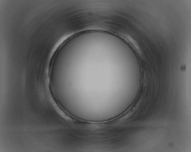 X0000096660796200802051217