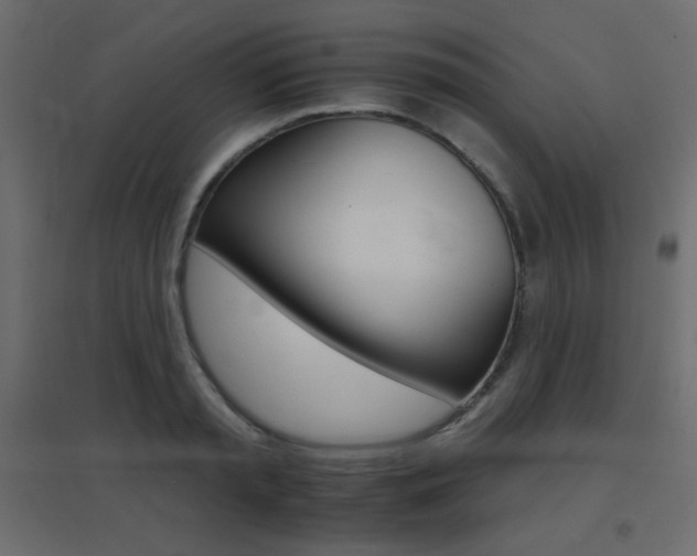 X0000096660797200802051217