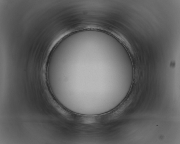 X0000096660798200802051217