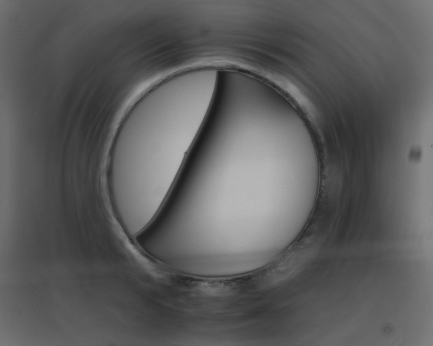 X0000096660799200802051217