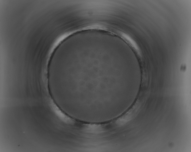 X0000096660800200802051217