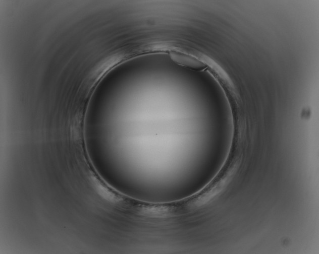 X0000096660801200802051217