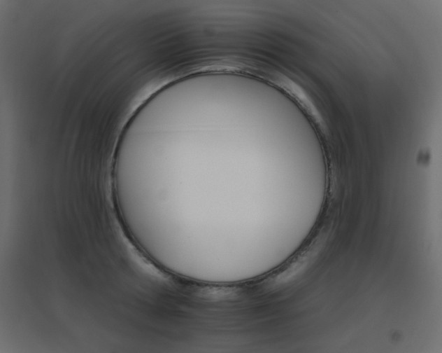 X0000096660802200802051217