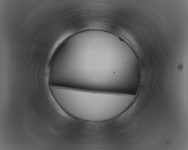 X0000096660804200802051217