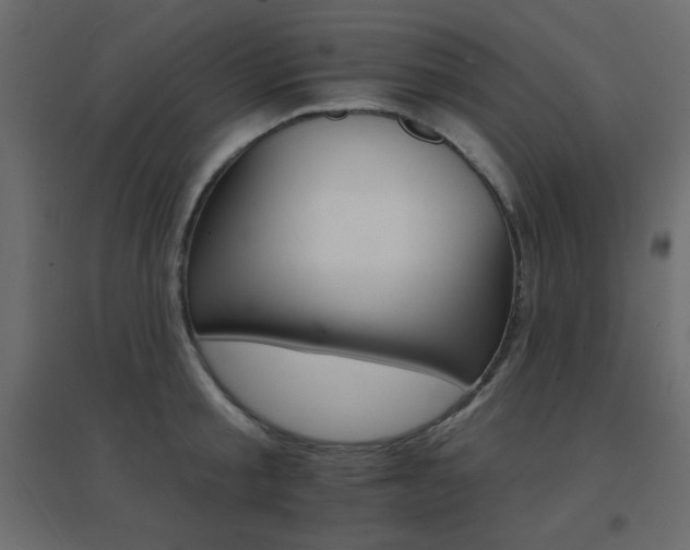 X0000096660805200802051217