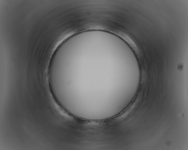 X0000096660806200802051217
