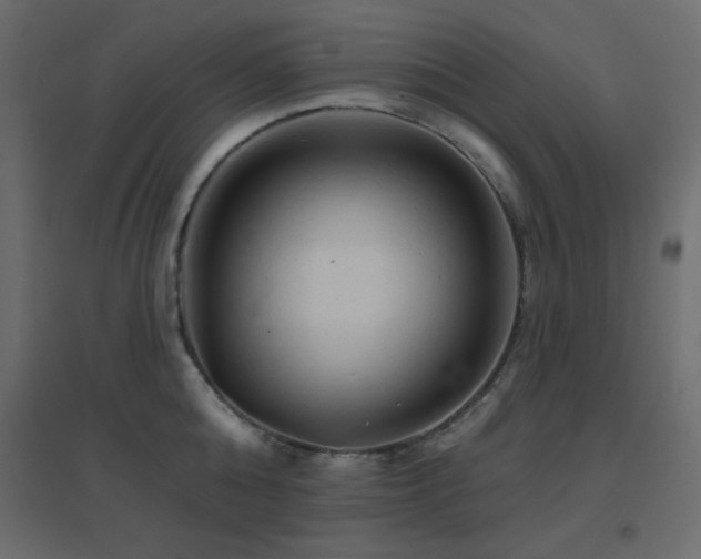 X0000096660808200802051217