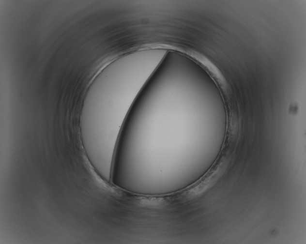 X0000096660809200802051217