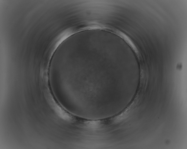X0000096660810200802051217