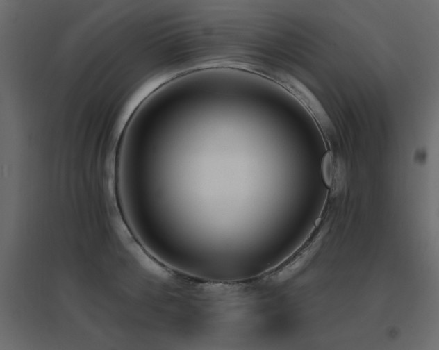 X0000096660812200802051217