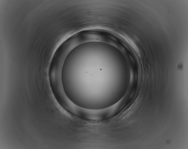 X0000096660813200802051217