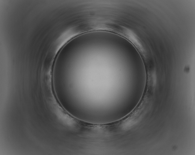 X0000096660814200802051217