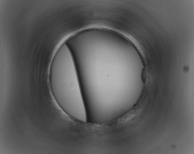X0000096660815200802051217
