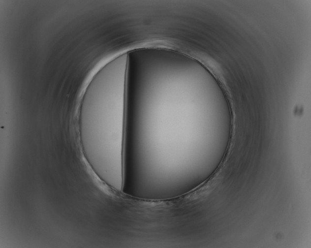 X0000096660816200802051217