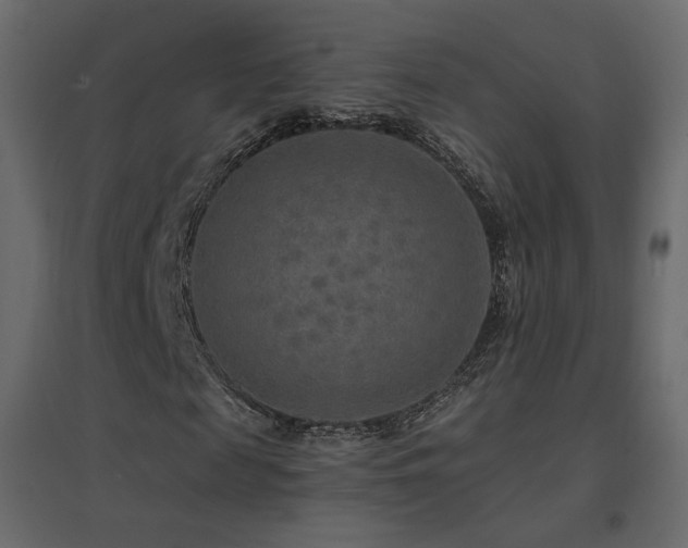 X0000096660817200802051216