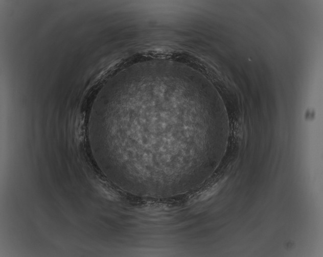X0000096660818200802051216